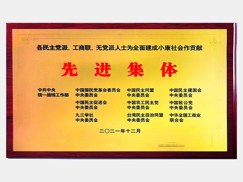 各民主黨派、工商聯(lián)、無黨派人士為全面建成小康社會作貢獻(xiàn)先進(jìn)集體